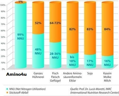Aminosäuren für eine vegane Ernährung